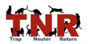 TNR Logo